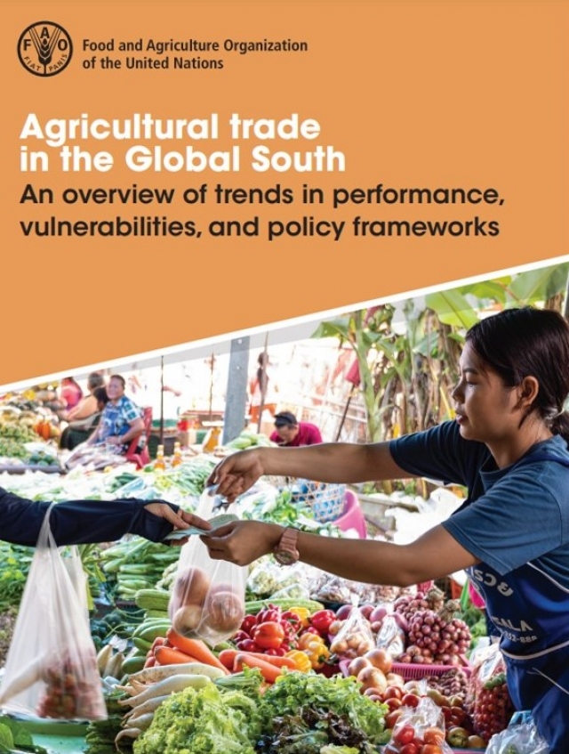 Agricultural trade in the Global South