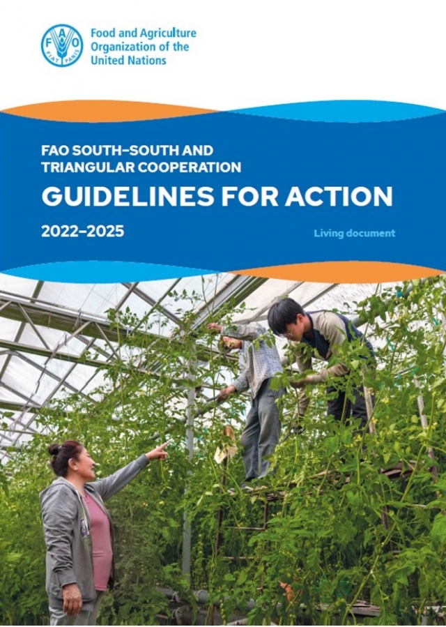 South-South and Triangular Cooperation Guidelines for Action