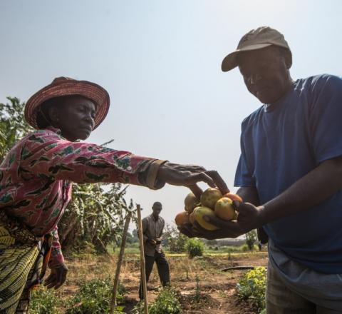 Uganda contributes nearly $10 million to South-South Cooperation project with FAO and China