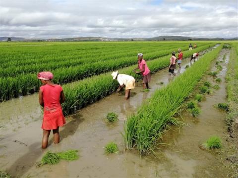 South-South Cooperation: FAO signs key agreement with Chinese Government