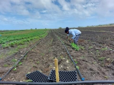 Water-Energy-Food-Environment Nexus Tools for enhanced climate resilience in Latin America and the Caribbean, one of the priority items during World Water Week