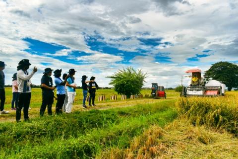 Scaling up Sustainable rice-based production systems via South-South and Triangular Cooperation